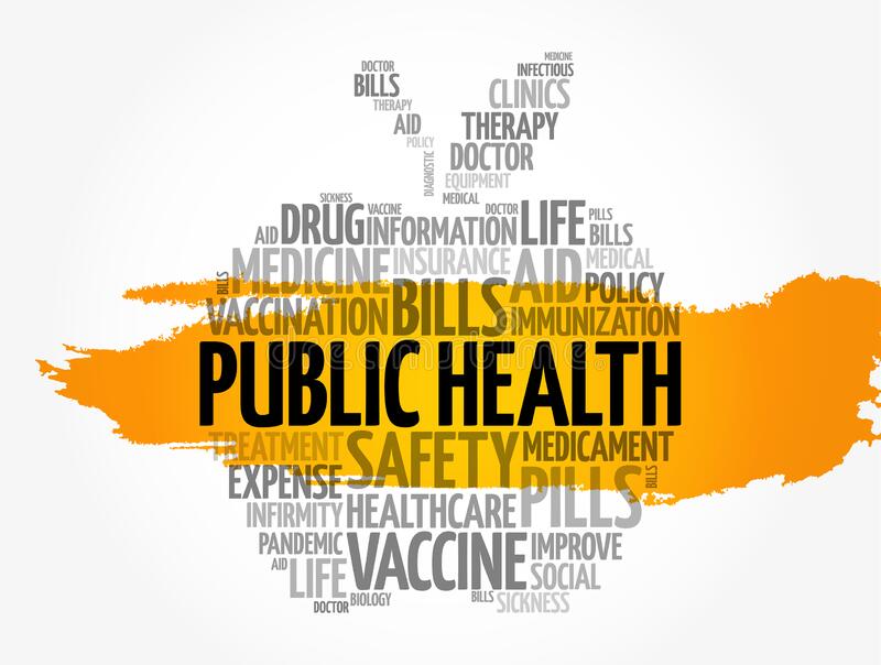essay on public health in india